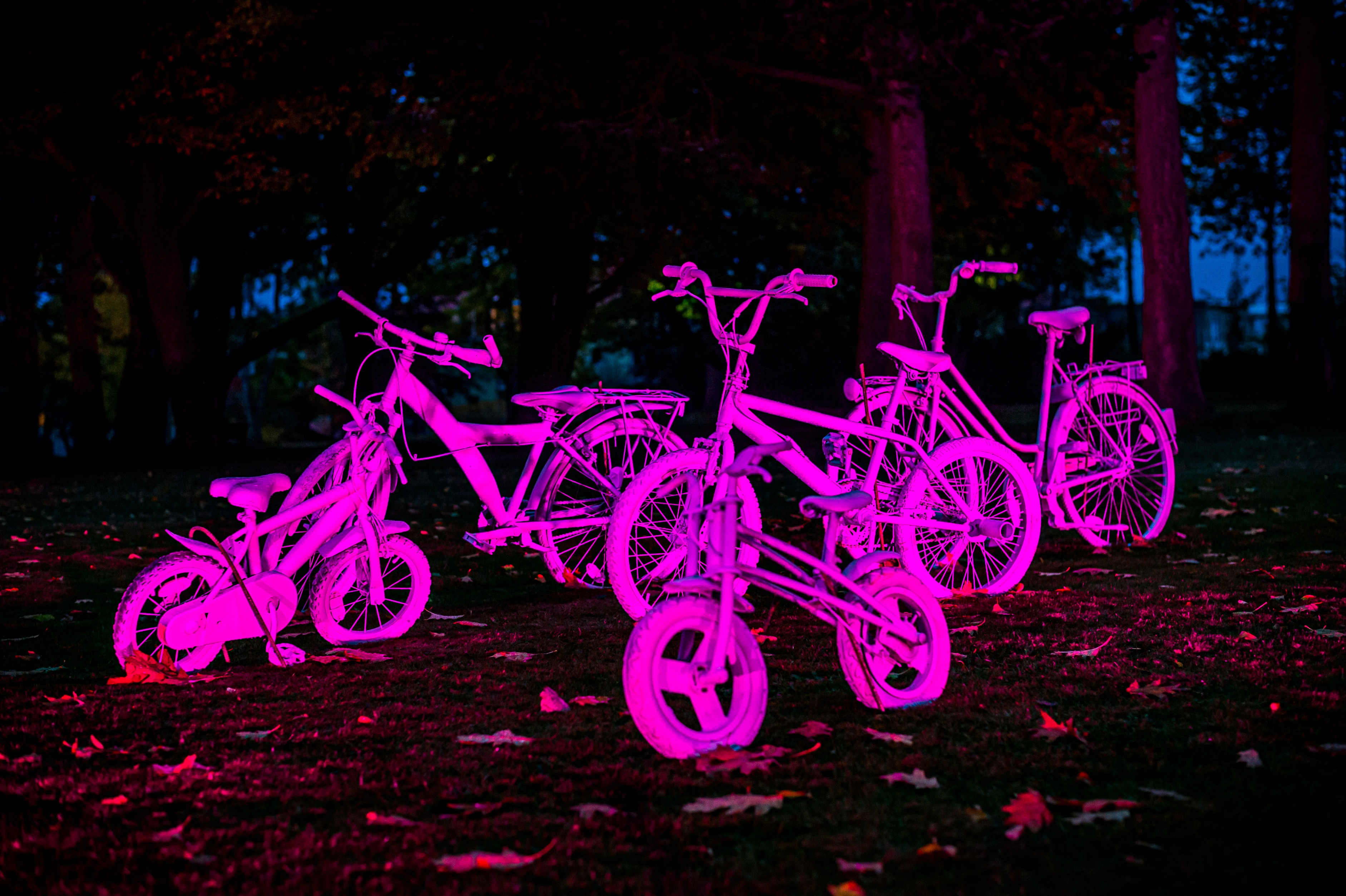 Angekommen-Pinke Fahrräder